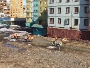 IMG_1049.jpg